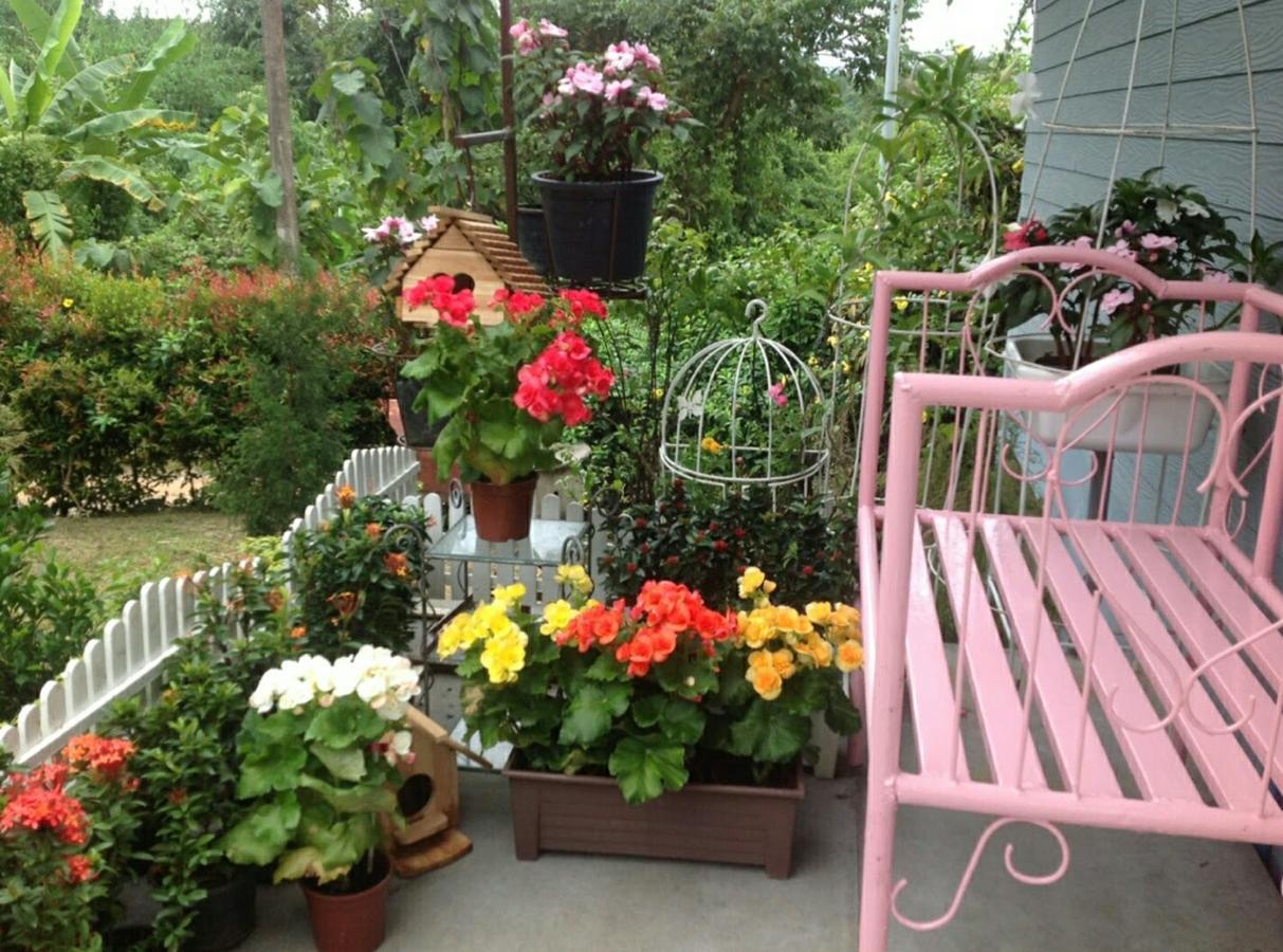 Baan Jaokorkluay บ้านเจ้ากอกล้วย Τσιανγκ Ράϊ Εξωτερικό φωτογραφία